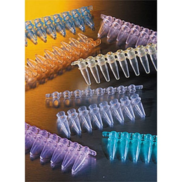 photo STRIP 8 PROV/CAPS PCR 0.2ML  125 PZ 1