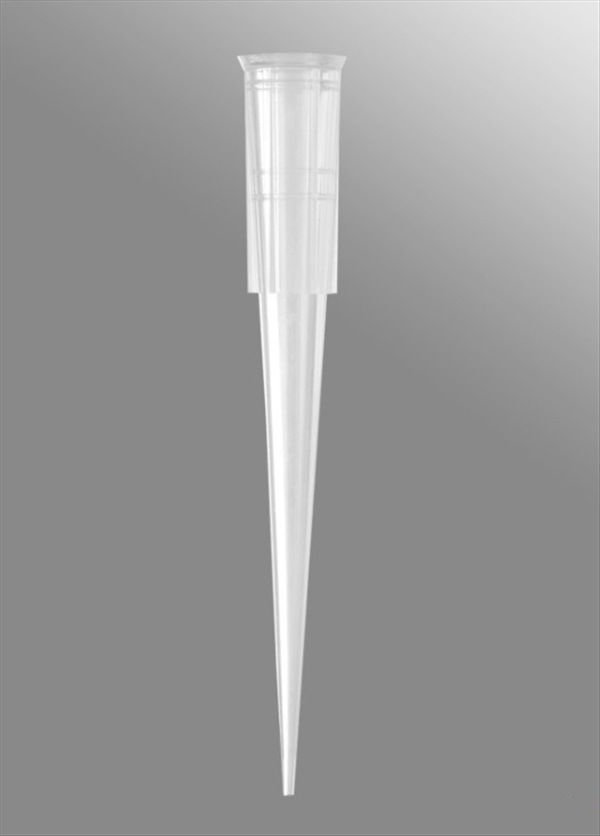 photo PUNT STER 1 -200 UL MAX REC 960 PZ 1