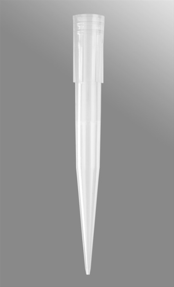 photo PUNT STER 100-1000 UL MAXREC 1000PZ 1