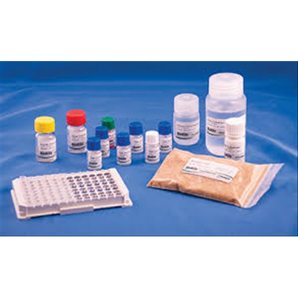 photo ENVIROMENTAL SWAB KIT 20 PZ 1