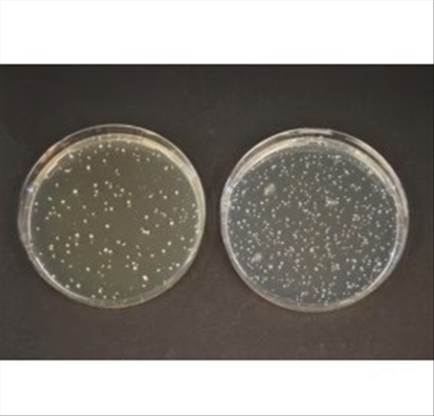 photo TOS PROPIONATE AGAR BASE 500G 1