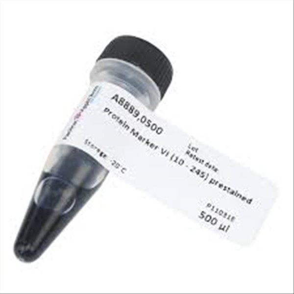 photo PROTEIN MARKER VI (10-245) 500 YL 1