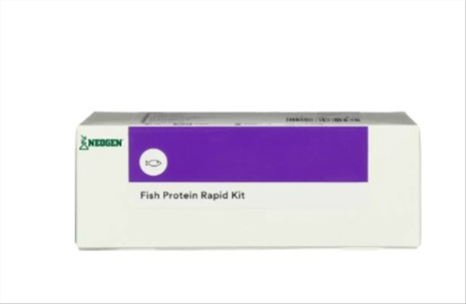 photo KIT RAPIDO 3M PECAN 25 TEST 1