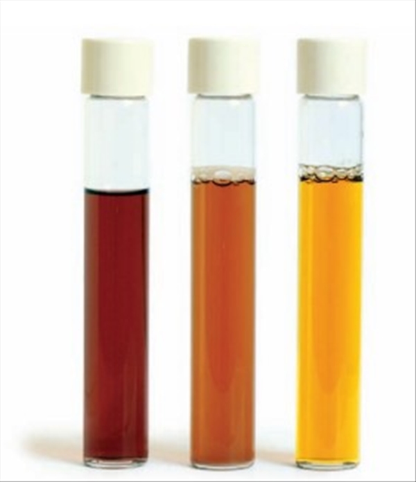 photo WILD YEAST BROTH 25 TUBI 20 ML 1