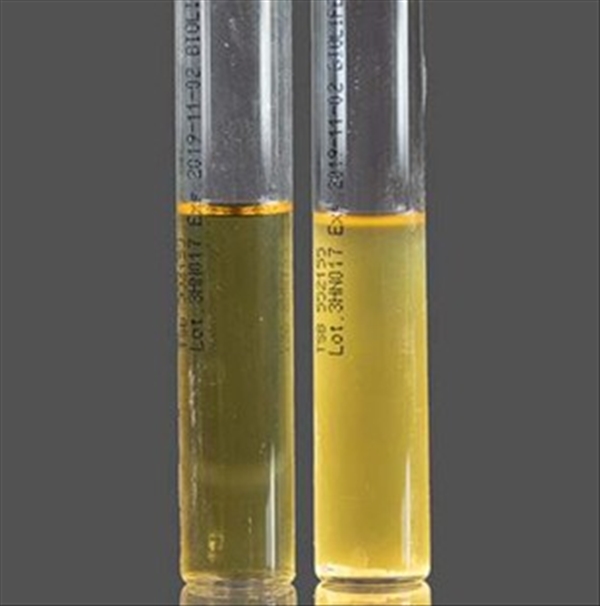 photo TRYPTIC SOY BROTH 500 G 1