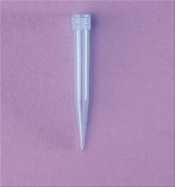 photo PUNTALI BLU ST. UNIV.(5 PZ) CF.2000 1