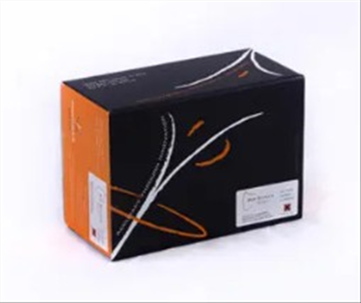 photo BIO SHIELD ELISA NOCE 96TEST 1