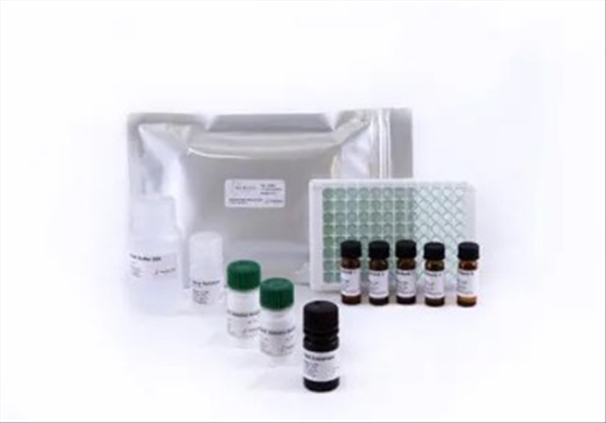 photo BIO-SHIELD DON 96 TEST METANOLO 1