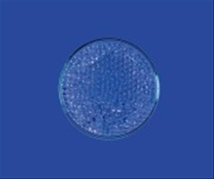 photo SFERE IN VETRO 3MM CF. 1 KG 1