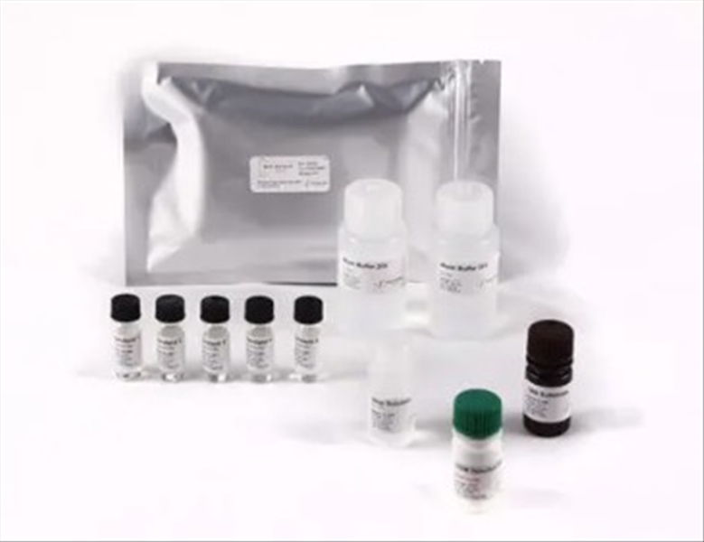 photo BIO-SHIELD COW 48 TEST 1