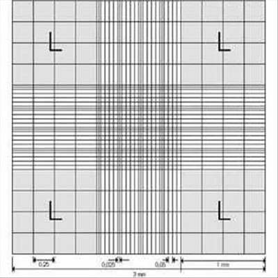 CELLE CONTAGLOBULI NEUBAUER