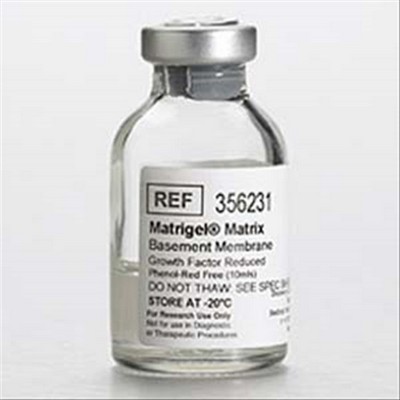 MATRIGEL GF RED.10ML PHENOLRED FREE