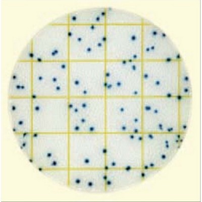 PETRIFILM SEC ESCHERICHIA COLI CF50
