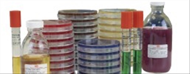 LISTERIA SECONDARY SELECTIVE CF.10