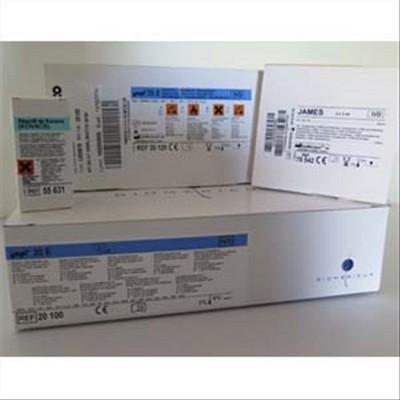 SABOURAUD CLORAMFEN.2 AGAR 500 GR