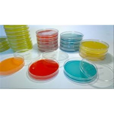 LISTERIA PALCAM 20 PIASTRE 90 MM