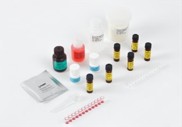 VERATOX GLIADIN R5 48 TEST