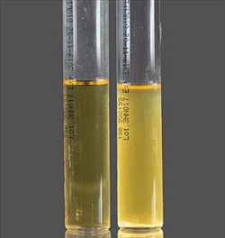 TSB 6X100 ML