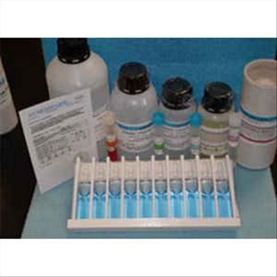 SALE CALIBRAZ. 98% 10 FIAL CERT ISO