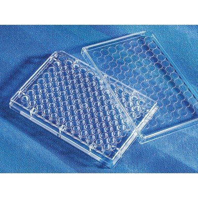 MICROPIASTRE 96 CLEAR PCR ABI  10