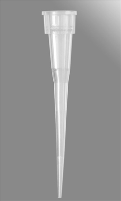 PUNTALI 0.5-10UL P2/P10  1000 PZ