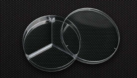 CAPSULE PETRI 90MM 3 SETTORI CF.500