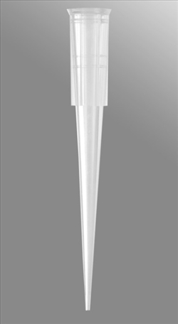 PUNTALI STANDARD 1-200 UL CF.1000
