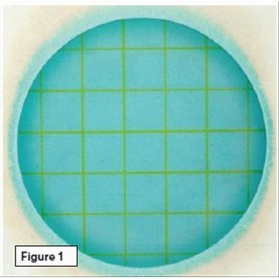 PETRIFILM BL BATTERI LATTICI CF 50