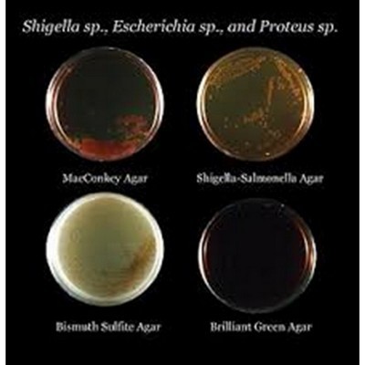 BISMUTH SULPHITE AGAR  500 G