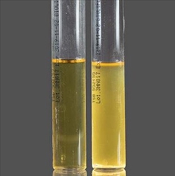 TRYPTIC SOY BROTH 500 G