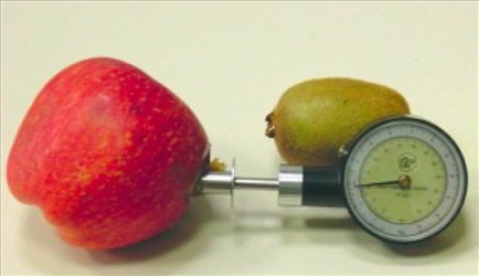 PENETROMETRO FRUTTA FINO A 13 KG