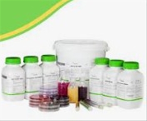 TSC AGAR 30 PIASTRE
