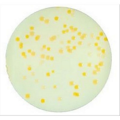 AEROMONAS SELECTIVE AGAR BASE 500G