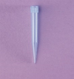 PUNTALI BLU ST. UNIV.(5 PZ) CF.2000