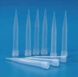 PUNTALI MICROP.101-1000YL UNI.C1000
