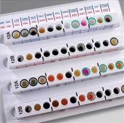 MICROBACT OXIDASE STRIPS CONF.100