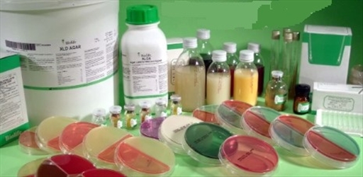 EUGON LT SUPPLEMENT 6X100ML