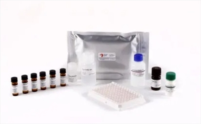 BIO SHIELD ELISA ARACHIDI 96TEST