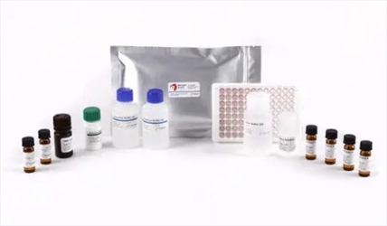 BIO SHIELD ELISA NOCCIOLA 96TEST