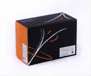 BIO SHIELD ELISA NOCE 96TEST