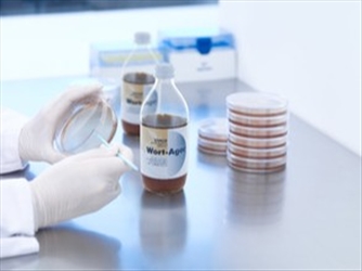 WORT AGAR 9X250 ML