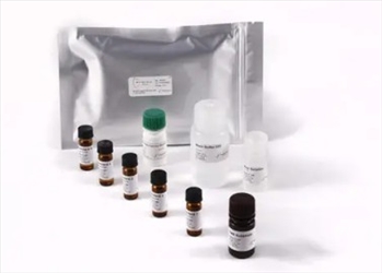 BIO-SHIELD COW CHEESE 48 TEST