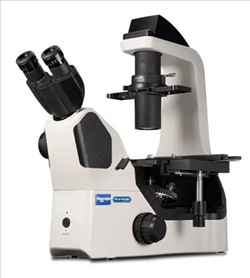 MICROSCOPIO TRINO ROV PL LWDUIS400X